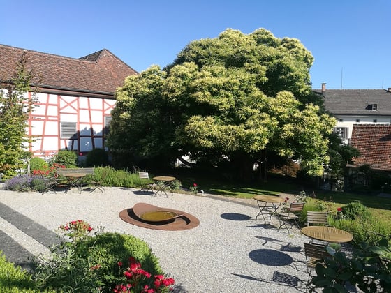 Vinorama_Ermatingen_3_1080px