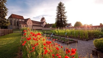 Reichenau Reichenau