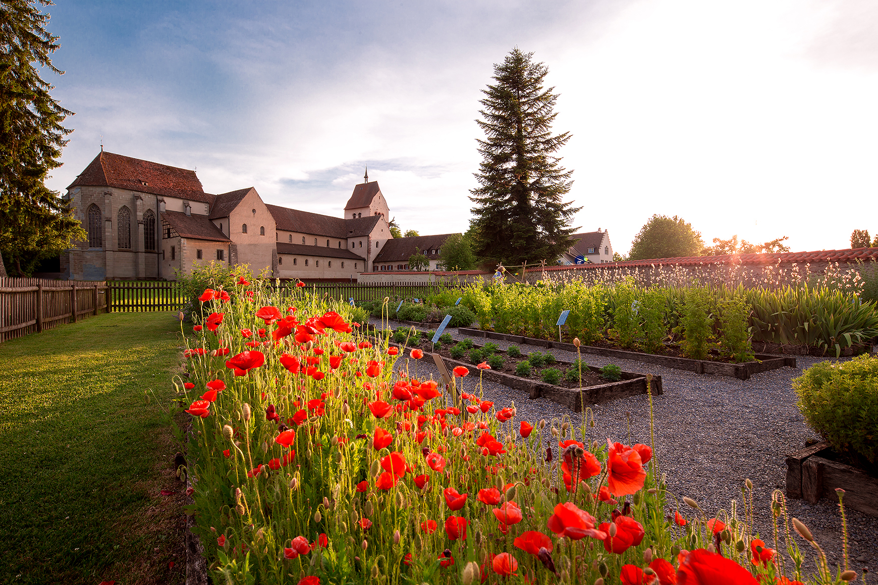 Insel Reichenau_Münster_Foto Helmuth Scham